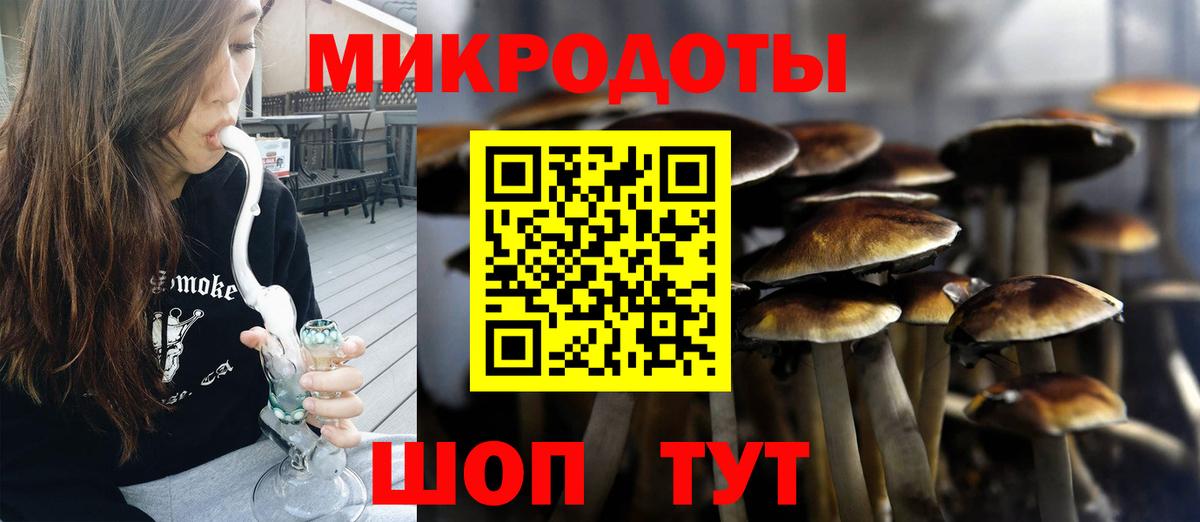 Псилоцибиновые грибы прущие грибы Ижевск